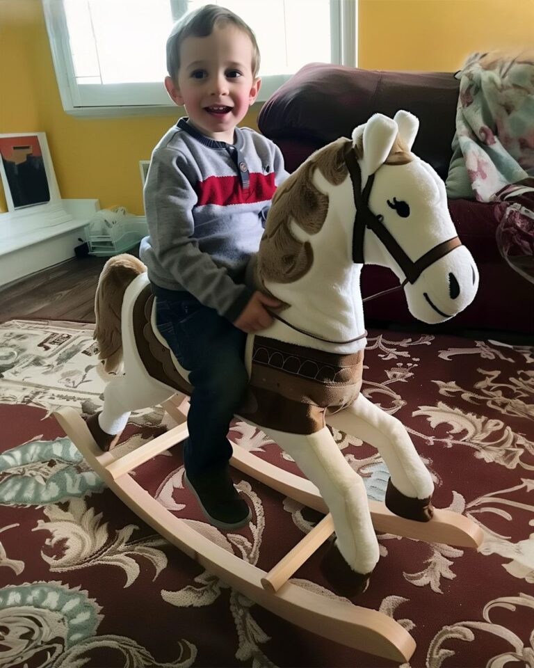 My Ex-husband Gifted Our Kid a Rocking Horse – When I Saw What Was Inside, I Called My Lawyer