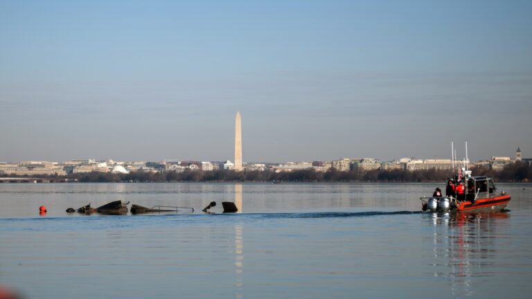 Army Helo That Crashed Into Airliner Over DC Was Rehearsing For Attack On Capitol: Report