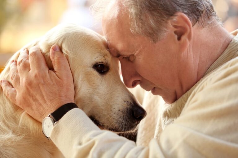 A Dying Man Said Goodbye to His Dog—What the Dog Did Next Will Make You Cry