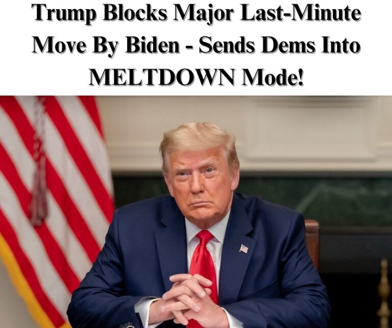 The Trump administration has dismissed immigration judges that President Biden attempted to appoint at the last minute.