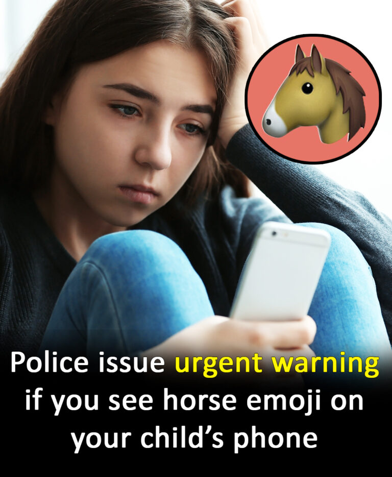 Cops warn parents about the hidden meaning behind the horse emoji