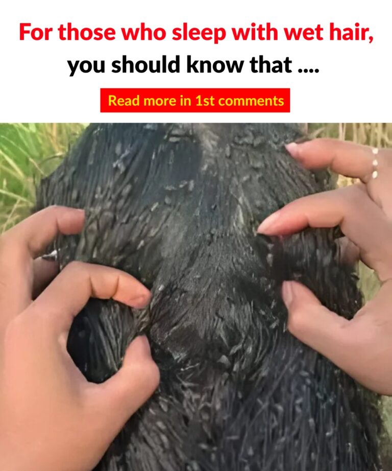 5 Common Myths About Sleeping With Wet Hair